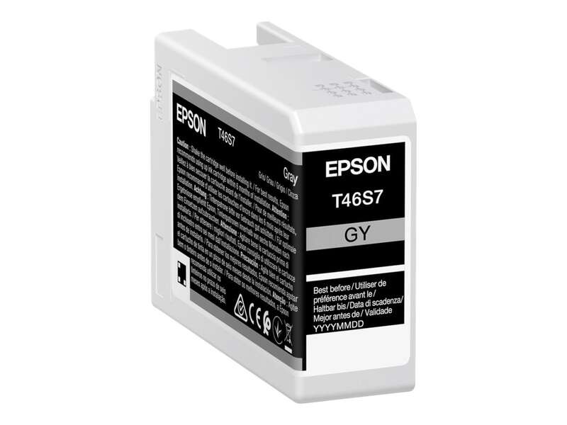 Cartuccia d'inchiostro Originale Epson T46S7 Grigio - C13T46S700