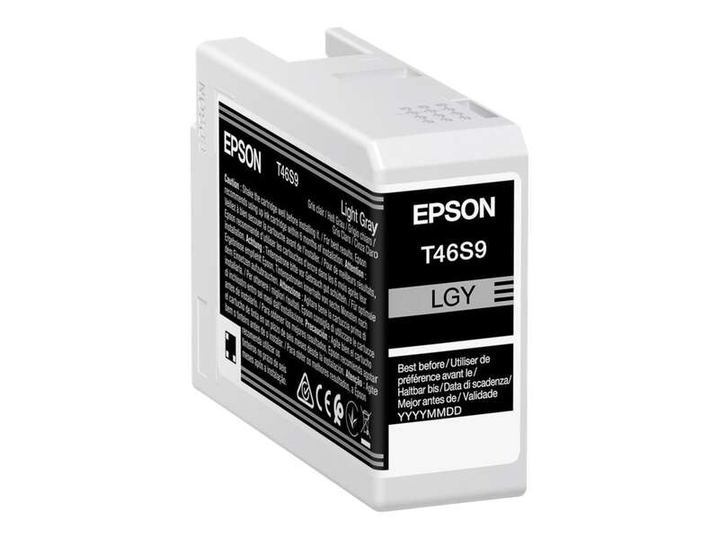 Cartuccia d'inchiostro originale Epson T46S9 Grigio chiaro - C13T46S900