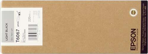Cartuccia d'inchiostro originale Epson T6067 nero chiaro - C13T606700