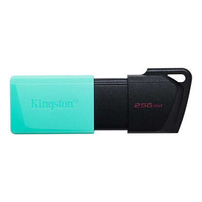 Kingston DataTraveler Exodia M Chiavetta USB 256 GB - USB 3.2 Gen 1 - Cappuccio rimovibile - Anello per portachiavi - Colore Nero/Turchese (Chiavetta USB)