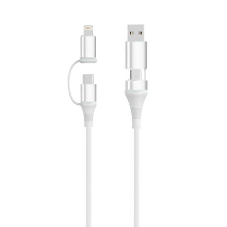 Ewent EC1075 Cavo USB-C 4 in 1 - 60 W - 1 metro - USB-C
